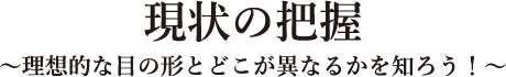 現状の把握～理想的な目の形とどこが異なるかを知ろう！～